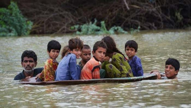 পাকিস্তানে সর্বোচ্চ স্বাস্থ্য জরুরি অবস্থা ঘোষণা করল ডব্লিউএইচও