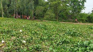 আত্রাইয়ে অজ্ঞাত নারীর ভাসমান লাশ উদ্ধার 