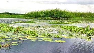 ব্রাহ্মণবাড়িয়ায় নিখোঁজ ২ শিশুর মরদেহ উদ্ধার