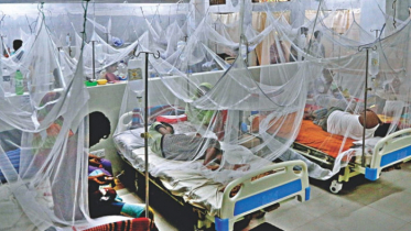 বিভিন্ন হাসপাতালে ৩১৫ জন নতুন ডেঙ্গু রোগী ভর্তি