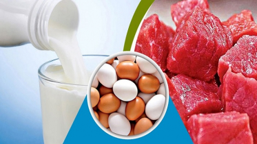 রমজানে কম দামে দুধ-ডিম-মাংস বিক্রি করবে সরকার