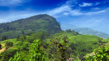 পাহাড়ে পাঁচ জনকে কুপিয়ে হত্যা