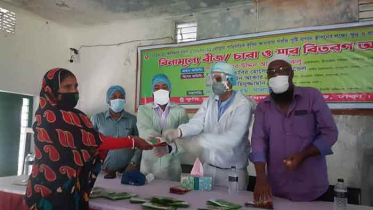 নবাবগঞ্জে কৃষকদের মাঝে সার-বীজ বিতরণ