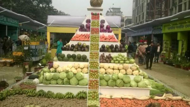 জাতীয় ফল মেলা শুরু