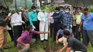 এক লাখ চারা গাছ রোপণ করবে ডিএসসিসি: মেয়র তাপস