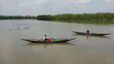 সুন্দরবনের দস্যুরা কি নতুন করে মাথাচাড়া দিতে শুরু করেছে?