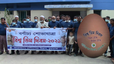 চুয়াডাঙ্গায় ডিম দিবসের শোভাযাত্রা ও সভা অনুষ্ঠিত