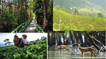 দেশে ইকো ট্যুরিজমের বিশাল সম্ভাবনা