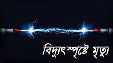 সেনবাগে বিদ্যুৎস্পৃষ্টে  যুবকের মৃত্যু  