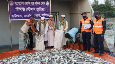 হাতিয়ায় ৩০ মণ জাটকা জব্দ