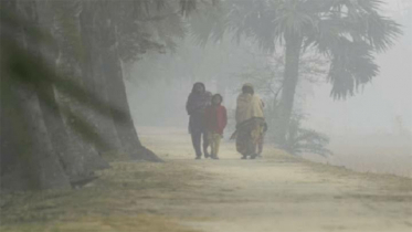 মৃদু শৈত্যপ্রবাহ থাকতে পারে আরও দুই দিন
