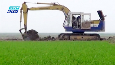 ব্রাহ্মণবাড়িয়ায় ফসলি জমির মাটি কেটে চলছে ইটভাটা (ভিডিও)