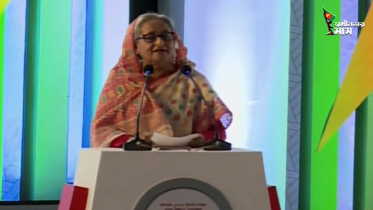 মুজিববর্ষে সরকার প্রত্যেকটি ঘর আলোকিত করেছে: প্রধানমন্ত্রী