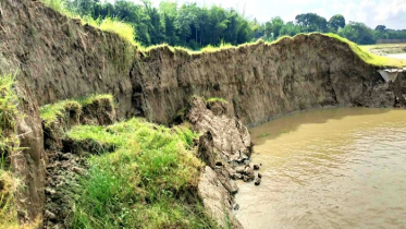 ফরিদপুরে পদ্মার ভাঙ্গনে ৩০মিটার জিওব্যাগের বাঁধ বিলীন