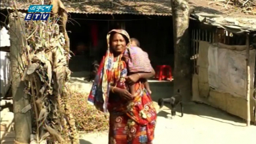 রঘুনাথপুর আশ্রয়ণ প্রকল্পের বেহাল দশা (ভিডিও)