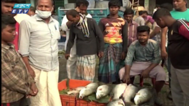 চট্টগ্রামে কমছে সব ধরণের মাছের দাম (ভিডিও)