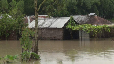 বন্যা পরিস্থিতির উন্নতি নাই, নতুন এলাকা প্লাবিত