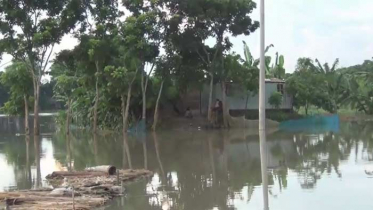 রাজবাড়ীর পদ্মা পাড়ের ৩০ গ্রামের মানুষ পানিবন্দি