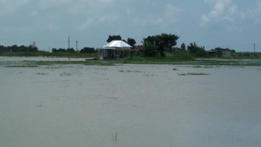 ফরিদপুরে কমতে শুরু করেছে পদ্মার পানি