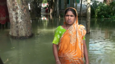 পদ্মায় পানি বৃদ্ধি, ফরিদপুরে বন্যা পরিস্থিতির অবনতি