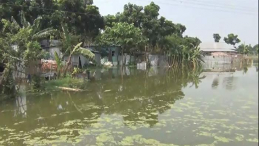 পদ্মায় পানি কমলেও দুর্ভোগ কমছে না বন্যাকবলিত মানুষের