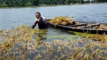 বন্যা পরিস্থিতির উন্নতি হলেও কমেনি দুর্ভোগ (ভিডিও)