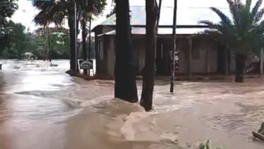 হু হু করে বাড়ছে বানের পানি (ভিডিও)