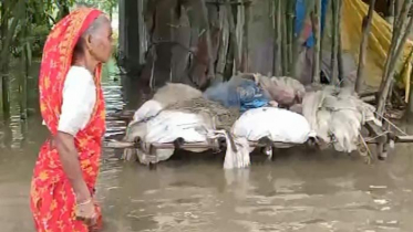 স্মরণকালের ভয়াবহ বন্যায় ভাসছে সিলেট-সুনামগঞ্জ