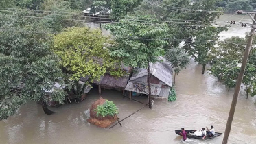 বন্যায় আরও ৭ জনের মৃত্যু