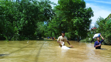 বন্যায় মৃত্যু বেড়ে ৭১, ফেনীতেই ২৮ জন