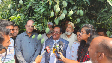 সবাই সস্তায় খেতে চায়, কৃষকের দুঃখ-কষ্ট কেউ বুঝে না: খাদ্যমন্ত্রী