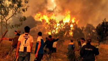 আলজেরিয়ায় ভয়াবহ দাবানলে প্রাণহানি বেড়ে ৩৮