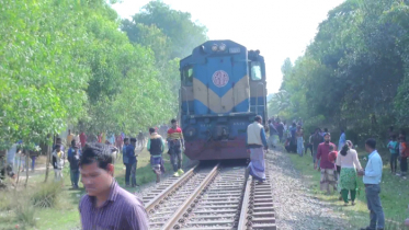 এনামুলের মাথা বিচ্ছিন্ন ও আফরোজার দেহ খণ্ড-বিখণ্ড