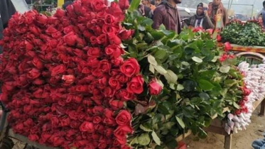 বসন্ত মিলেছে ভালোবাসায়, ফুল চাষীর মুখে হাসি 