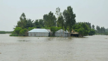 উজানের ঢলে উত্তরাঞ্চলে বন্যা