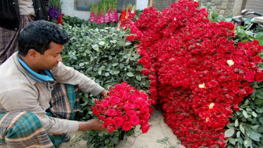 তিন দিবসে শত কোটি টাকার ফুল বিক্রির লক্ষ্য গদখালি চাষীদের