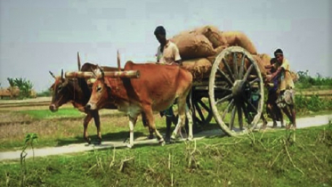 বিলুপ্তির পথে আবহমান বাংলার ঐতিহ্য