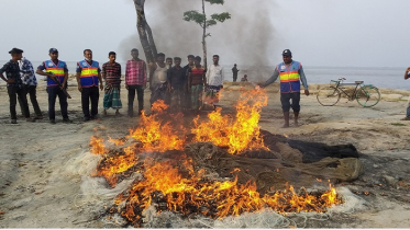 হাতিয়ায় ২ লাখ ৫০ হাজার মিটার কারেন্ট জাল জব্দ