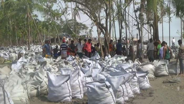 হাতিয়ায় কোটি টাকা ব্যয়ে নদীর তীর রক্ষা প্রকল্পের উদ্বোধন