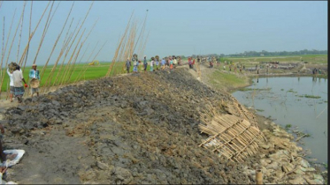 দেড় মাসেও শুরু হয়নি সুনামগঞ্জের ফসলরক্ষা বাঁধের কাজ 