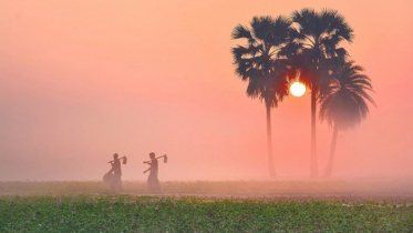 ভোরের শিশির আর হিম হাওয়া নিয়ে এলো ঋতুর রানী