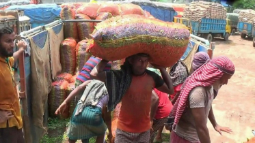 হিলিতে কাঁচামরিচের দাম বেড়েছে কেজিতে ২০ টাকা