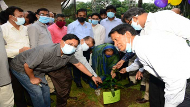 আইইবিতে ‘মুজিব শতবর্ষে শত বৃক্ষরোপণ’ কর্মসূচি অনুষ্ঠিত