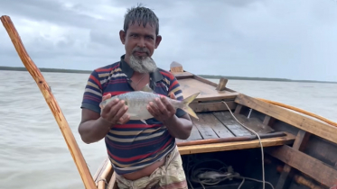 ২২ দিন সারাদেশে ইলিশ ধরা নিষিদ্ধ