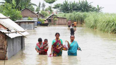 বন্যায় ক্ষতিগ্রস্তদের মধ্যে ৭ হাজার ১৪৭ টন চাল বিতরণ