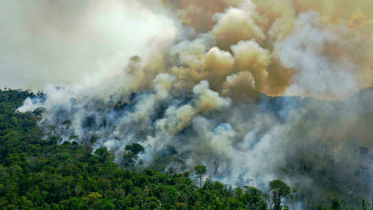 ব্রাজিলে বেড়েছে গ্রিনহাউস গ্যাস নিঃসরণ