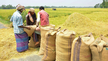 ‘দেশে খাদ্য ঘাটতির সুযোগ নেই’