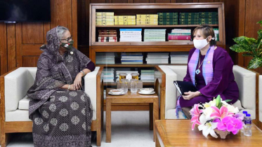 রোহিঙ্গারা সামাজিক সমস্যা সৃষ্টি করছে: প্রধানমন্ত্রী