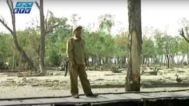 সুন্দরবন সুরক্ষায় প্রকল্প : মনিটরিং করা হবে সবকিছু (ভিডিও)