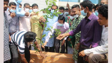 জাককানইবিতে প্রধানমন্ত্রীর জন্মদিন উপলক্ষ্যে বৃক্ষরোপন